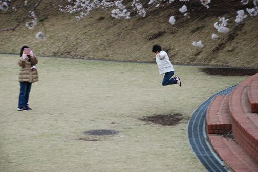 DSC_0209_20130330171935.jpg