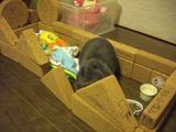¤Ä¤ß¤¤Î¤ª¤¦¤Á¢