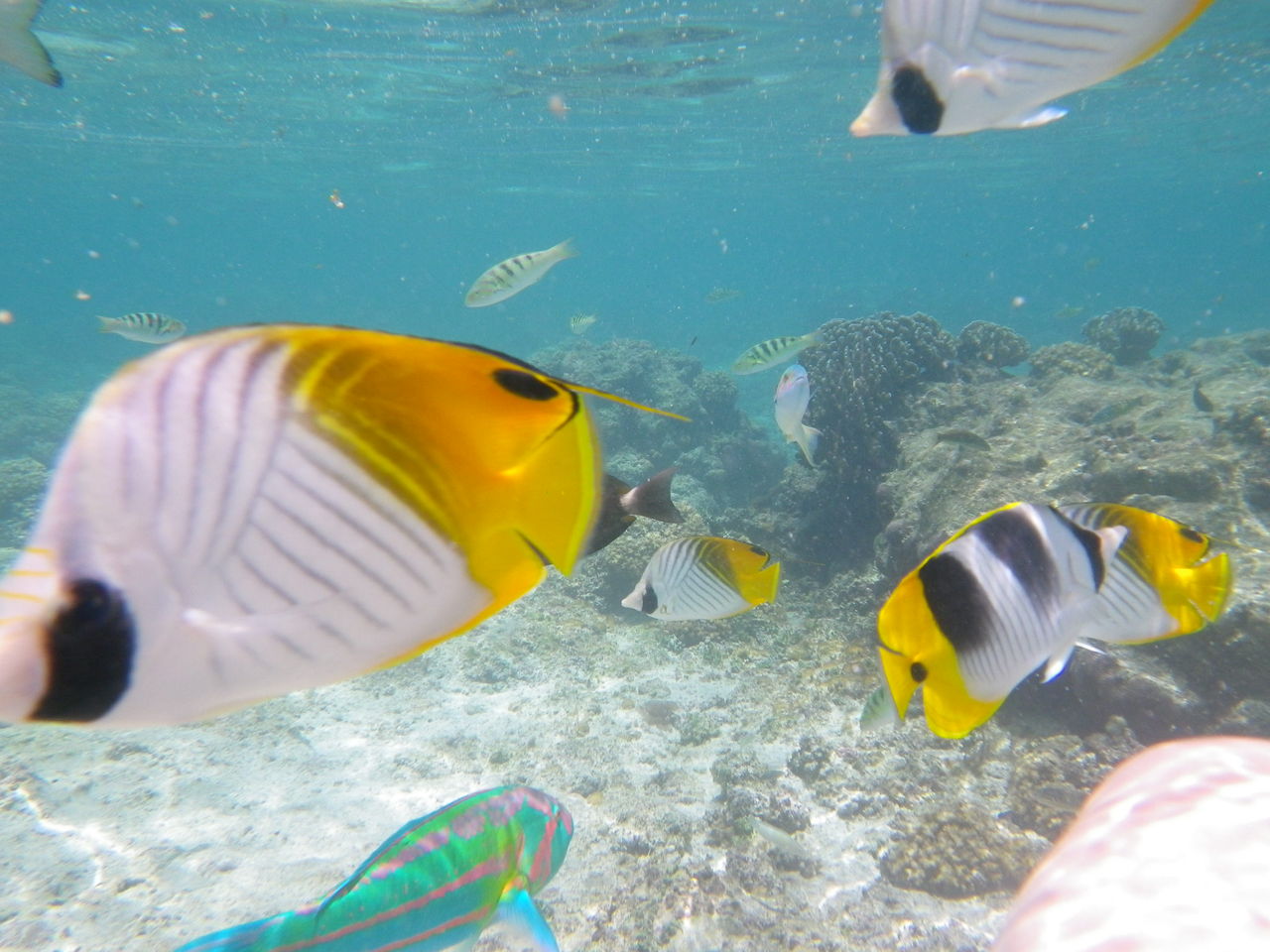 v킸ۑō̉摜]ڂX Part54YouTube>6{ ->摜>2066 