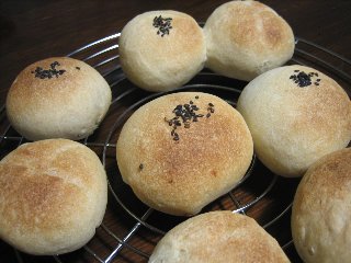 pan33