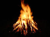 yjimage (1)