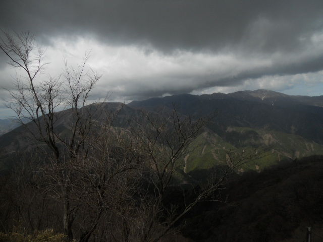 DSCN3234