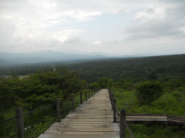 DSCN3010