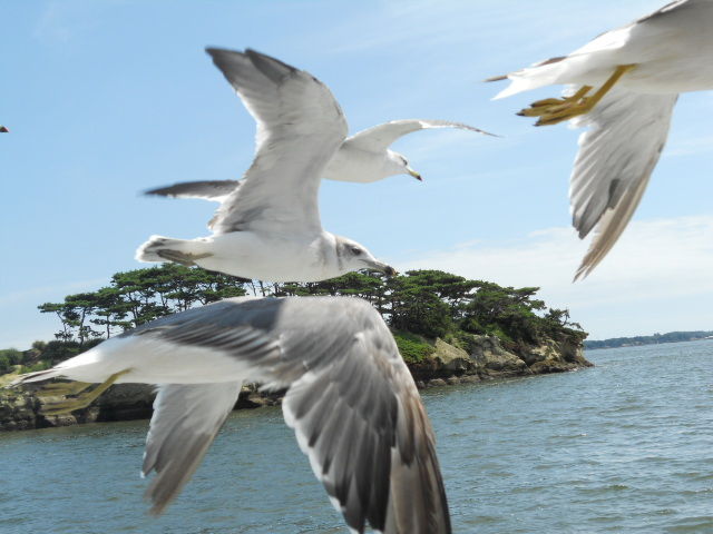 DSCN1092