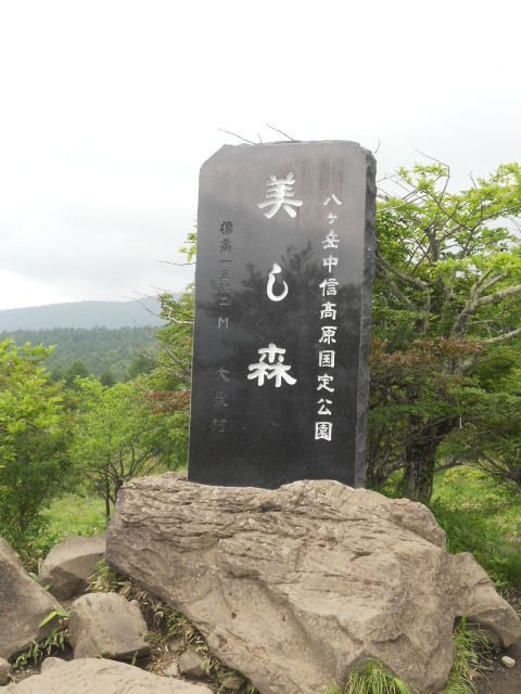DSCN3009