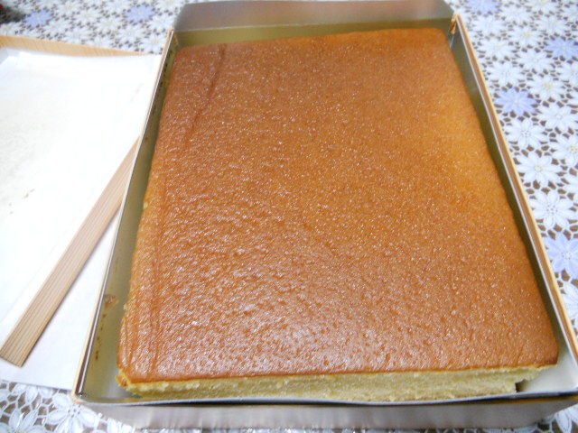 DSCN0323