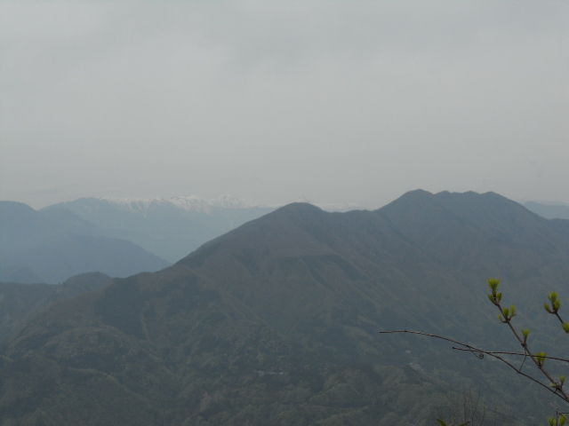 DSCN1917