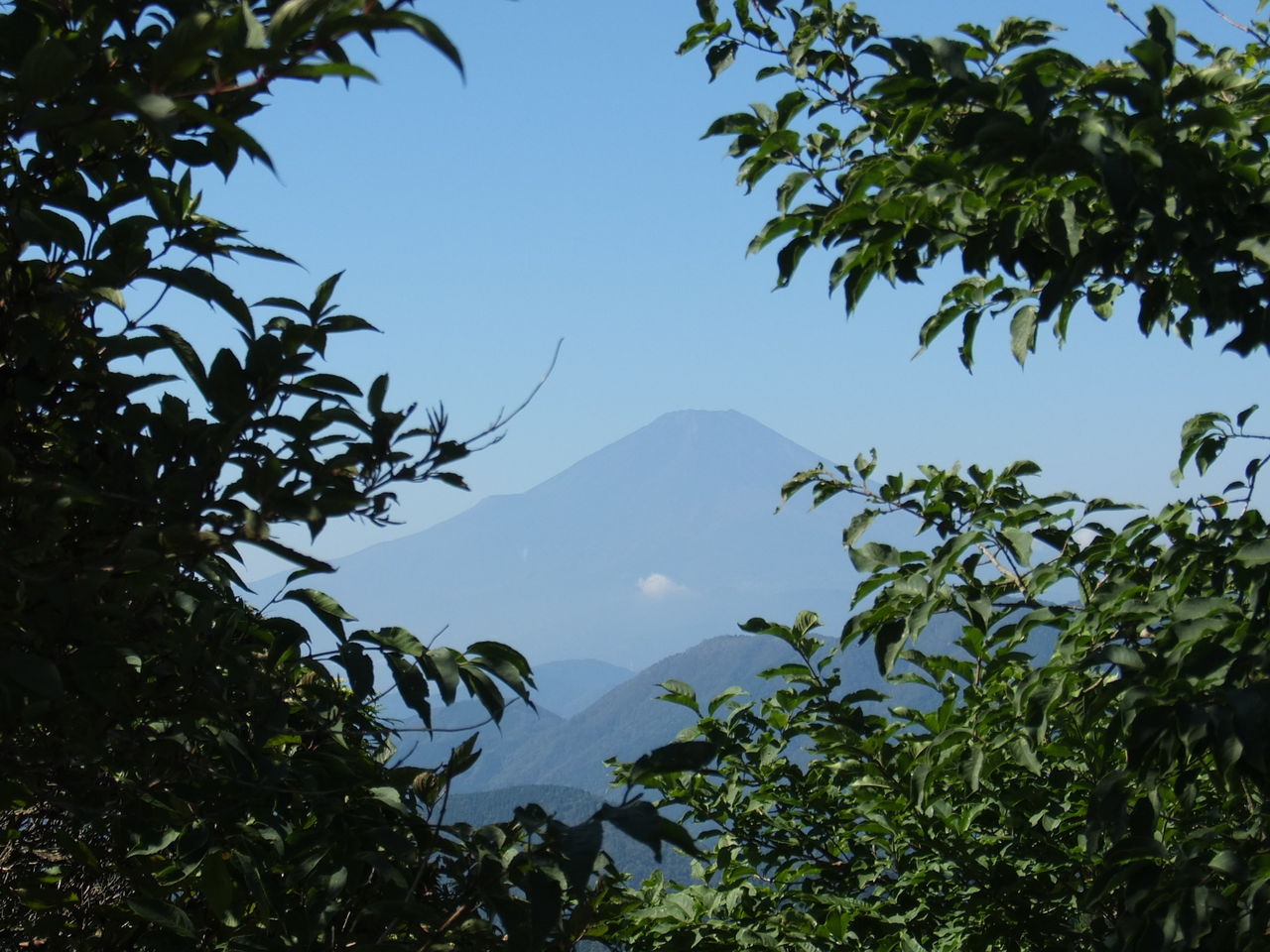 DSCF0141
