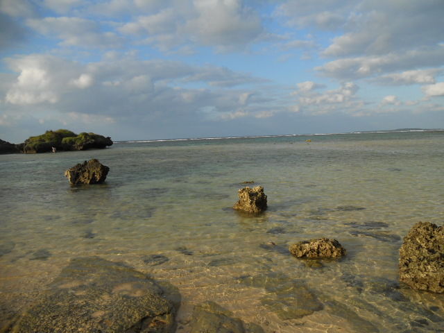 DSCN2355