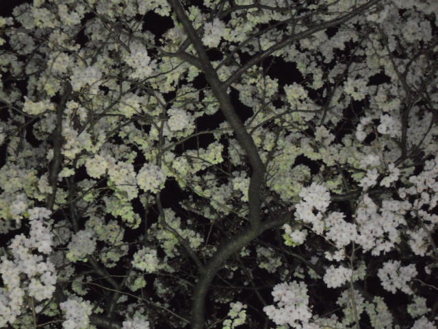 DSCN1771