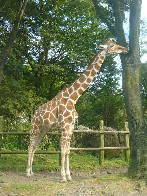 P1020863