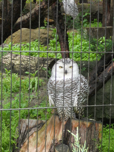 DSCN2012