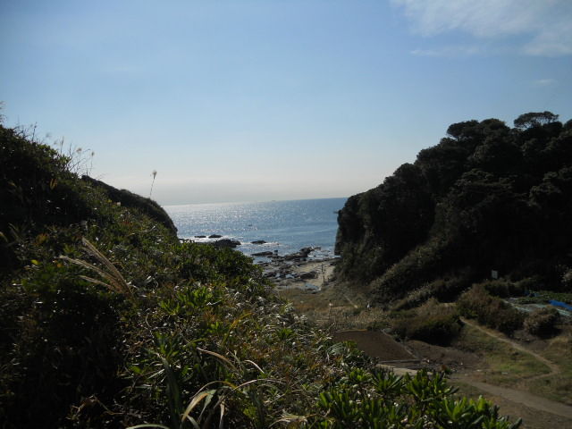 DSCN2311