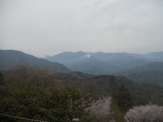 DSCN1914