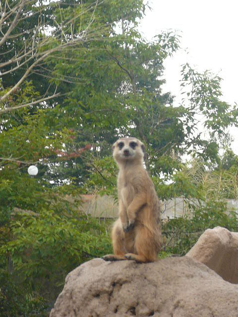 P1020870