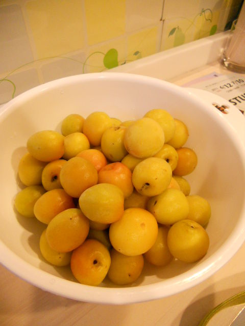 DSCN0886