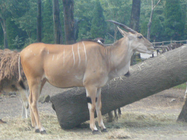 P1020865