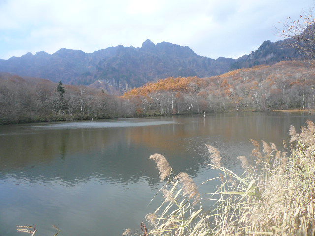 P1030105