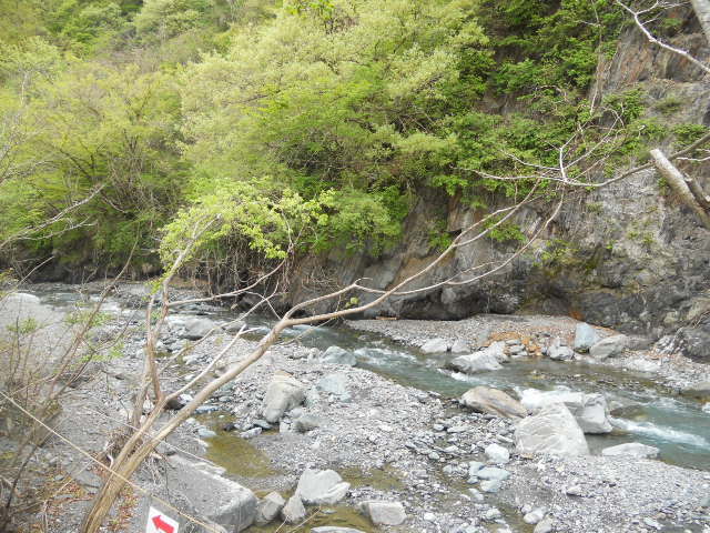 DSCN1962