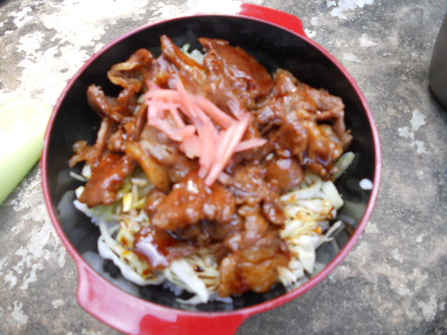 DSCN2406
