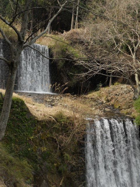DSCN3245