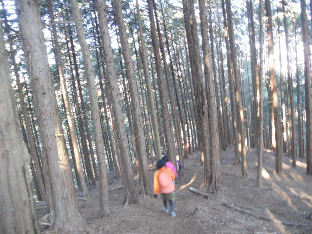 DSCN3083