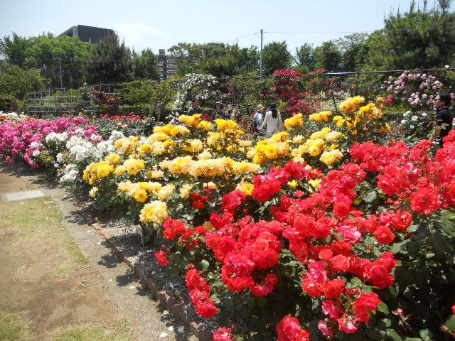 DSCN2972