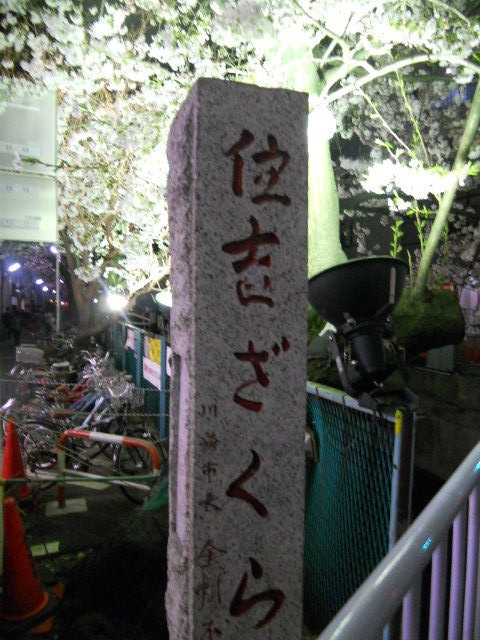 DSCN1765