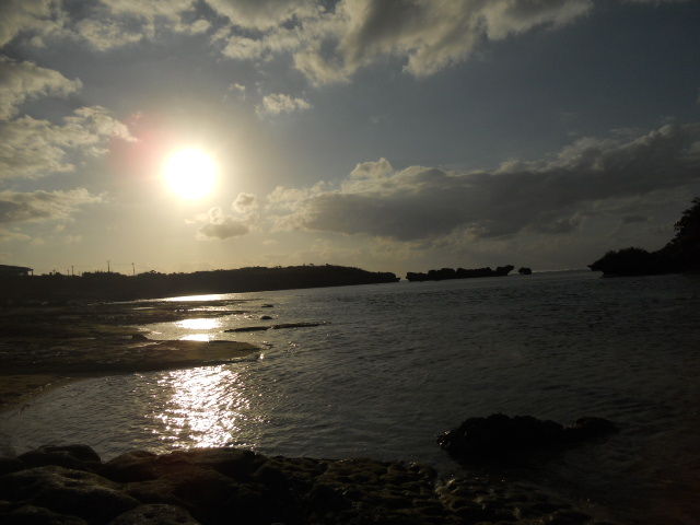 DSCN2356