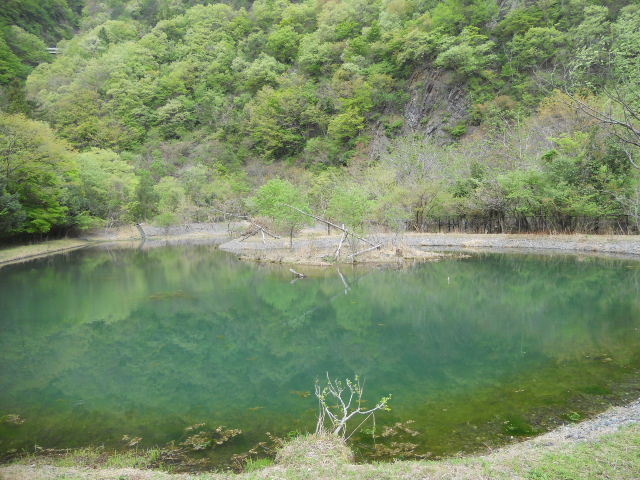 DSCN1961