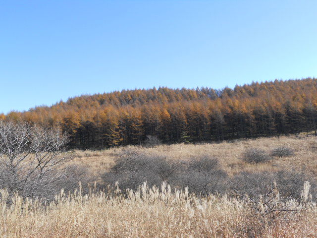 DSCN2502