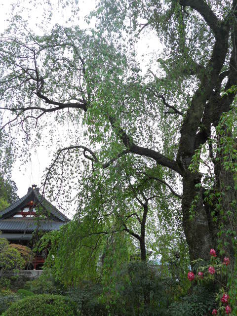 DSCN1893