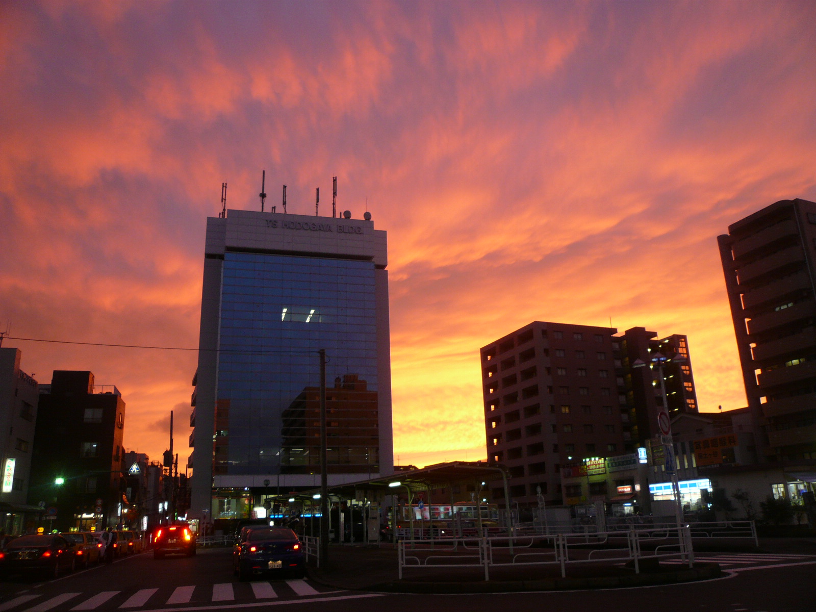 P1010949