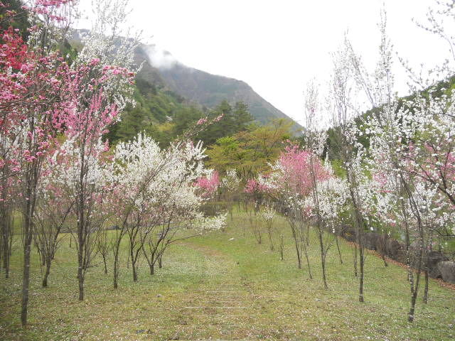 DSCN1979