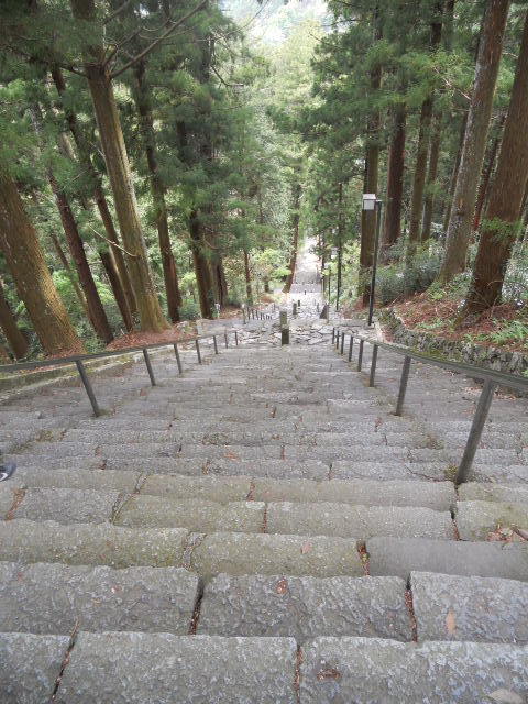 DSCN1924