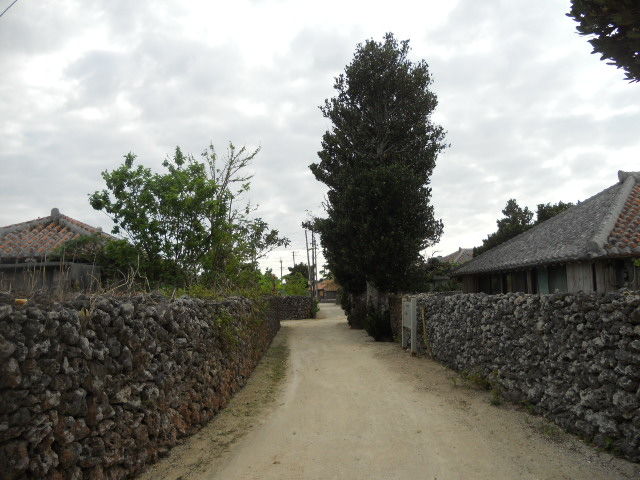 DSCN2464