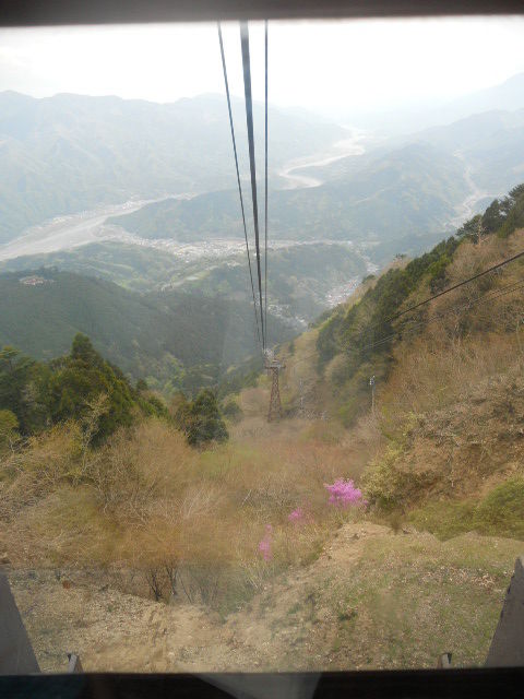 DSCN1923