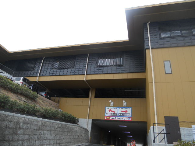 DSCN3124