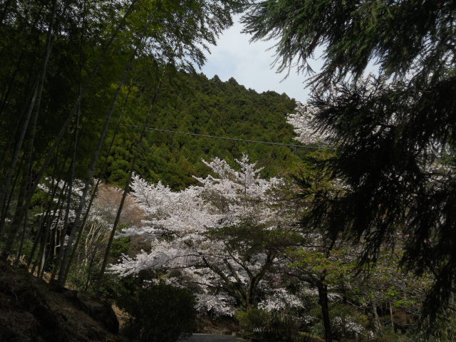 DSCN3252