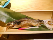 DSCN0672