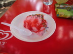 DSCN3544