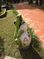 DSCN3942