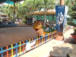 DSCN3529
