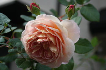 030