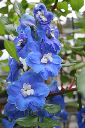 019