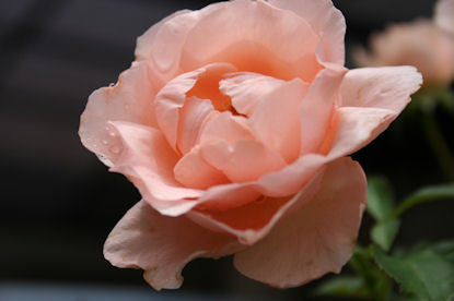 019