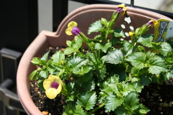 7e3c955e.jpg