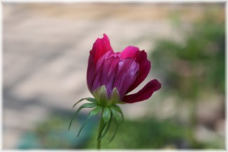8205fa62.jpg