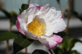 9a0f747a.jpg