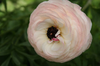 018